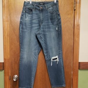 Judy Blue Boyfriend Fit Denim Jeans 14W
